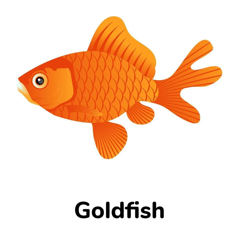 Fresh Water Fish