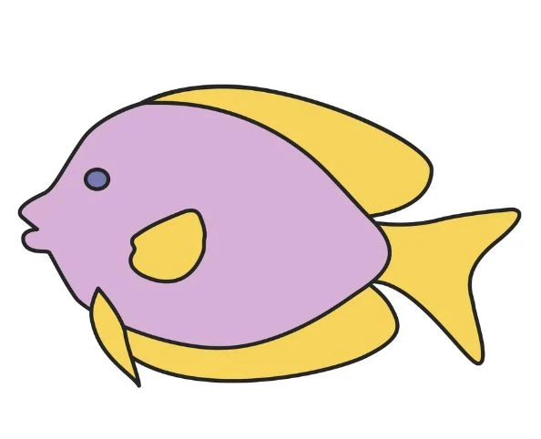 Salt Water Fish